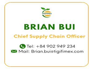 Brian Bui