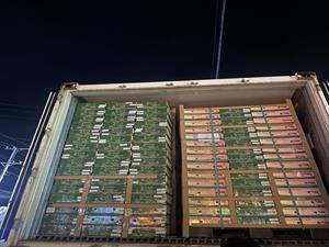 VIETNAMESE DRAGON FRUIT SHIPPED TO AUSTRALIA