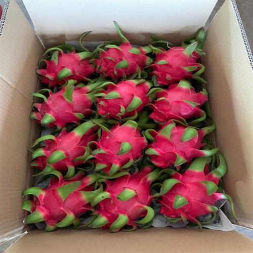 Thanh long (Dragon fruit)
