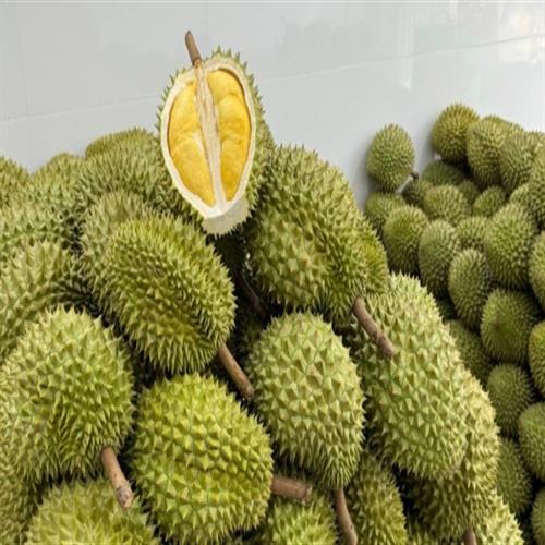 Sầu riêng